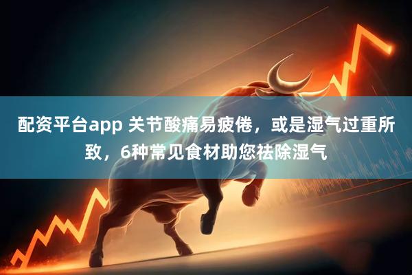 配资平台app 关节酸痛易疲倦，或是湿气过重所致，6种常见食材助您祛除湿气