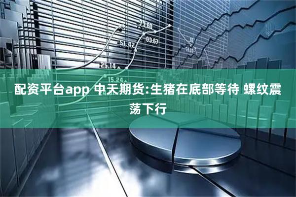 配资平台app 中天期货:生猪在底部等待 螺纹震荡下行