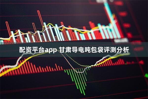 配资平台app 甘肃导电吨包袋评测分析
